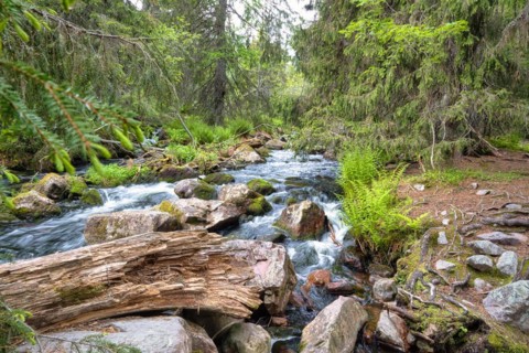 Fulufjaellet National Park