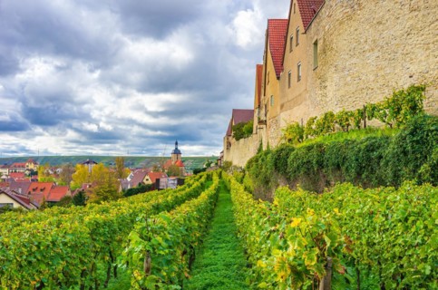 View along the medieval town wall through the vineyards in the upper town to the Regiswindis Church in the lower town