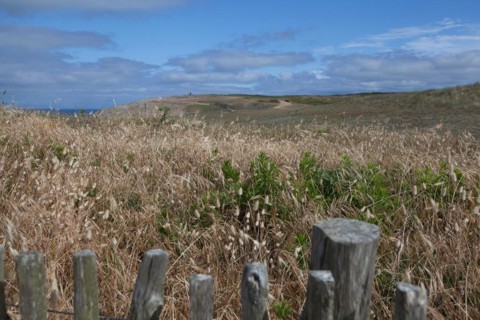 Wild Coast