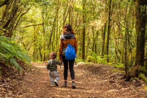 Mother and son hiking through Las Creces on the trail in the mossy tree forest of Garajonay National Park