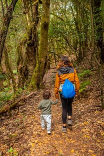 Mother and son hiking through Las Creces on the trail in the mossy tree forest of Garajonay National Park