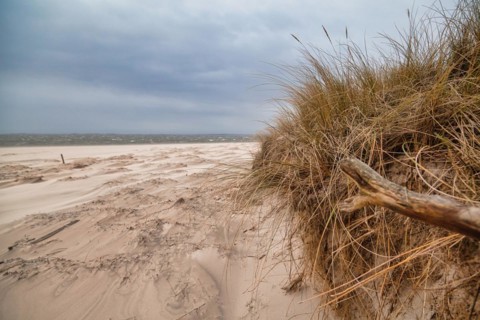 Beach near Hoernum