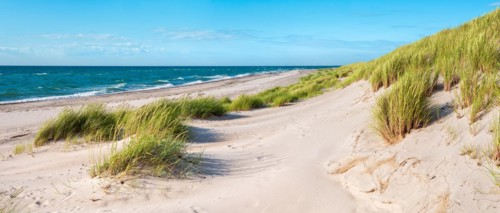 Summer day by the sea