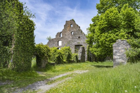 The Hohentwiel Fortress Ruin