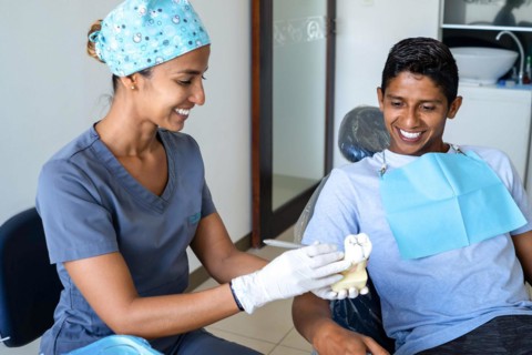 Dentist showing a patient a model of a molar to explain the treatment