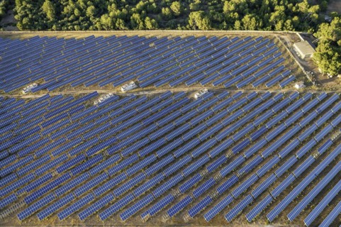 Farm of photovoltaic panels