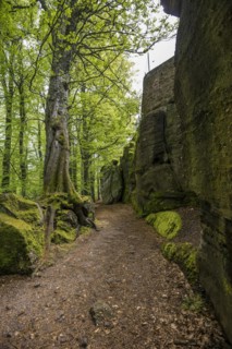 Hiking trail and rocks