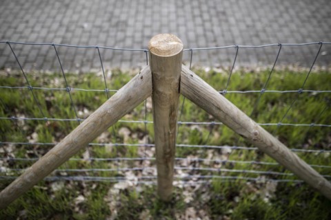 Protective fence against the spread of African swine fever