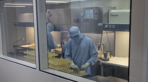 Production of vaccine