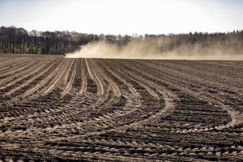 Maize sowing precision drill Vaederstad Tempo