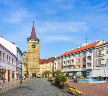 Townscape with view from the east of the Valdice Gate from 1568