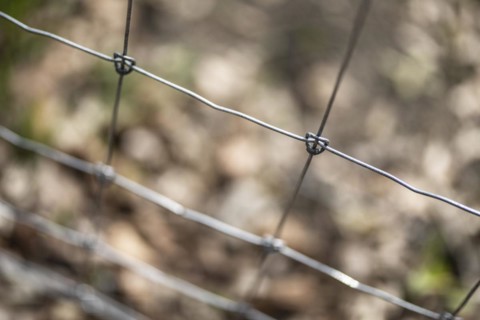 Protective fence against the spread of African swine fever