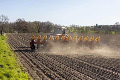 Maize sowing precision drill Vaederstad Tempo