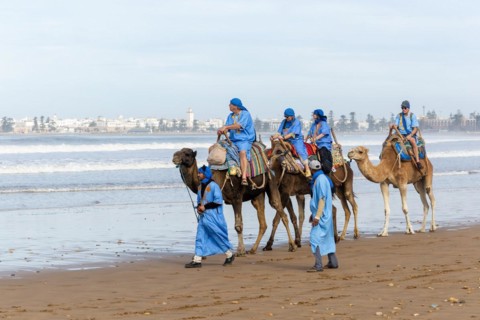 Tourists riding camels on beach dressed in blue Bedouin robes