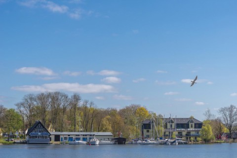 City of Roebel