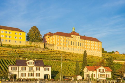 Meersburg State Winery on Lake Constance