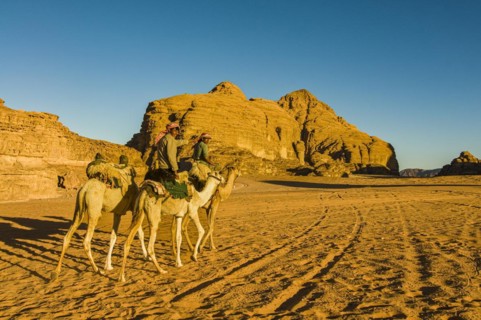 Bedouins with camels in desert