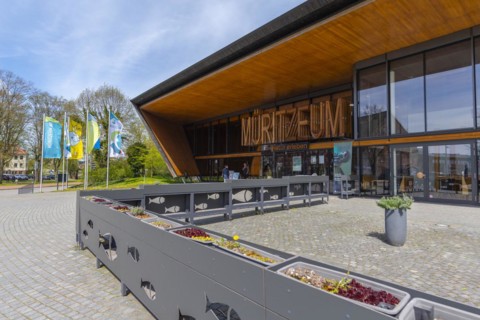 Entrance to the Mueritzeum