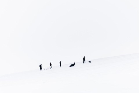 People on a toboggan slope in Koenigshain