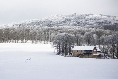Cross-country skier