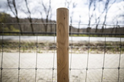 Protective fence against the spread of African swine fever