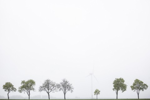 Trees along a country road stand out in front of wind turbines in Vierkirchen