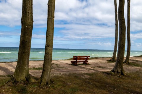 Lookout bench with a view of the Baltic Sea in the Ghost Forest near Nienhagen