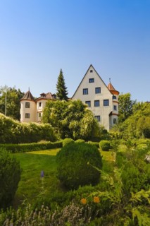 Neufra Castle