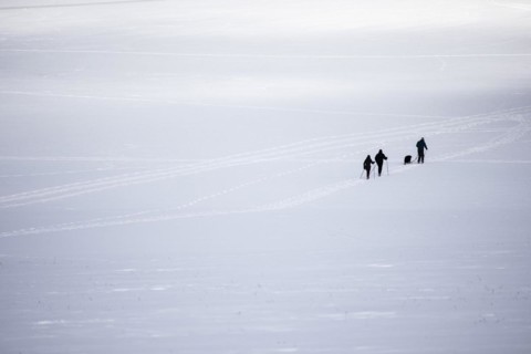 Cross-country skier