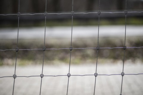 Protective fence against the spread of African swine fever