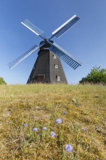1863 windmill Paula