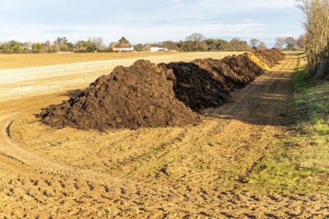 Line of organic animal manure muck fertiliser in field