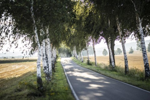 German Avenue Road near Arnsdorf in Saxony