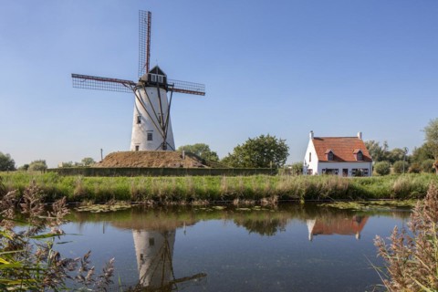 The Schellemolen