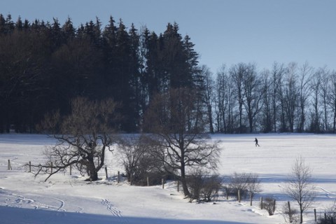Cross-country skier