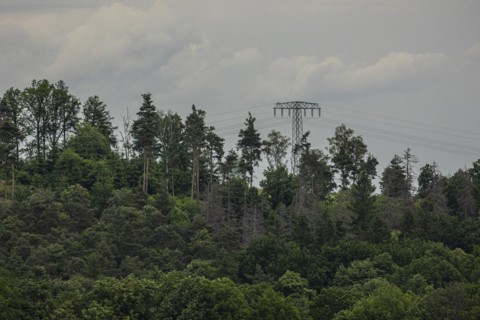 Kodersdorf