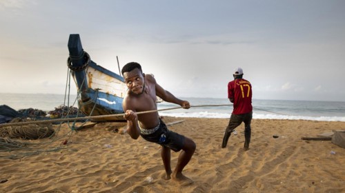 Young fisherman helps to land a catch