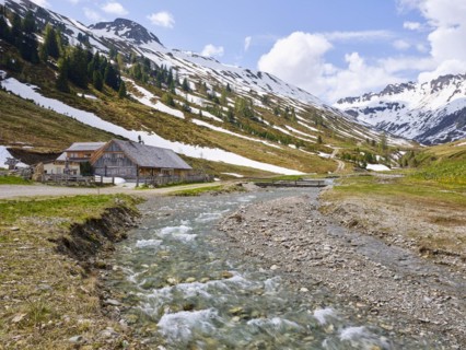 Oergenhiasalm
