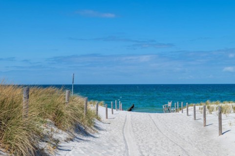 Access through the dunes to the sandy beach of Ahrenshoop