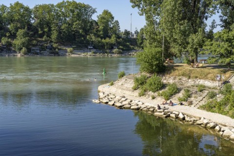 The Rhine at Birskoepfli Rhine Park in Basel