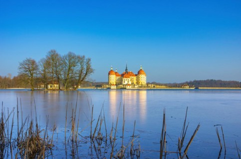 Winterly Moritzburg Castle and Duck Island with group of trees in the half frozen castle pond