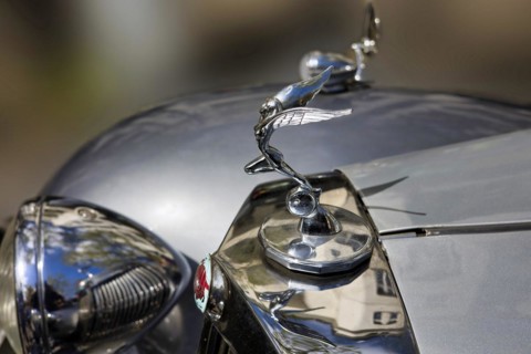 Triumph Roadster radiator mascot
