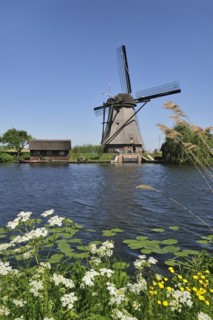 Thatched polder windmill at Kinderdijk