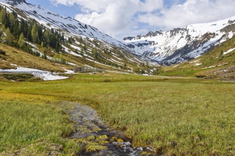Alpine pasture in the Riedingtal nature park Park