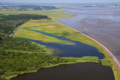 Aerial view over the Katinger Watt