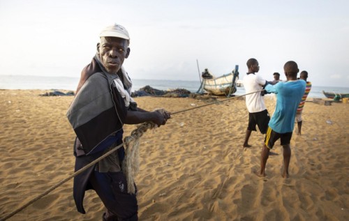 Old fisherman helps to land a catch
