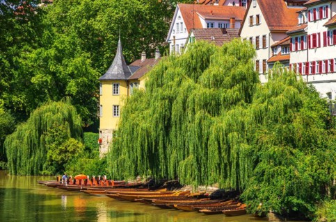 Hoelderlinturm and Stocherkaehne as part of the ensemble of the historic Neckar front