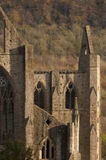 Ruins of Tintern Abbey in Tintern