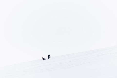 People on a toboggan slope in Koenigshain
