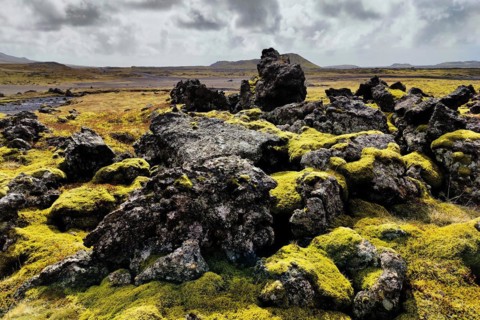 Lava with moss at Raudholl crater